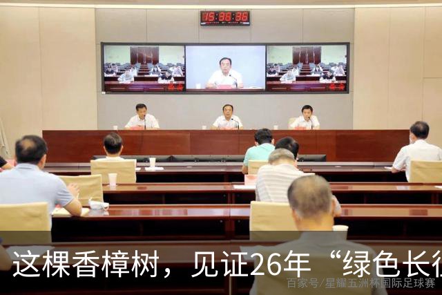 这棵香樟树，见证26年“绿色长征”